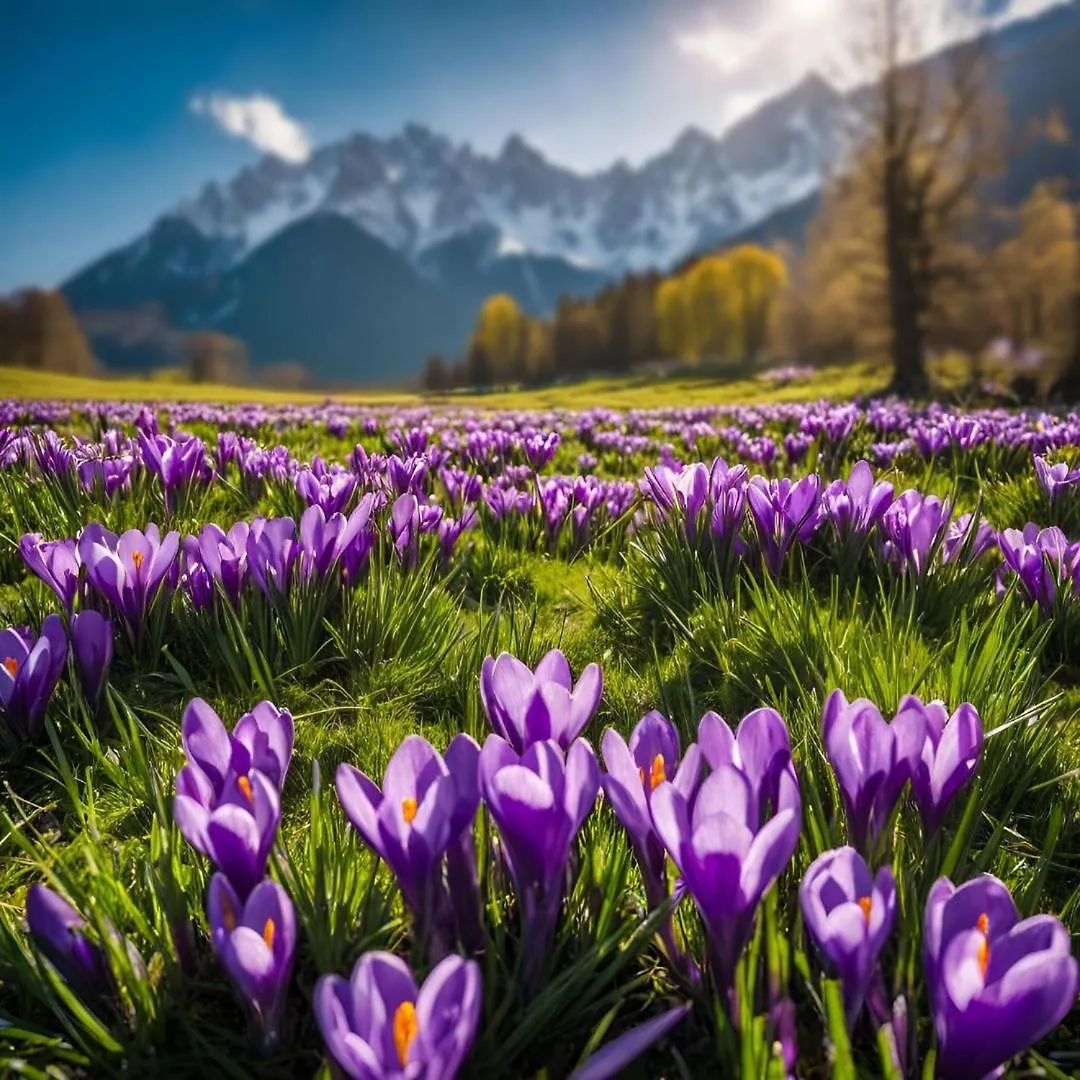 Hotel Helios 300M Od Krupowek Nowy Basen Od 12 Lipca Zakopane